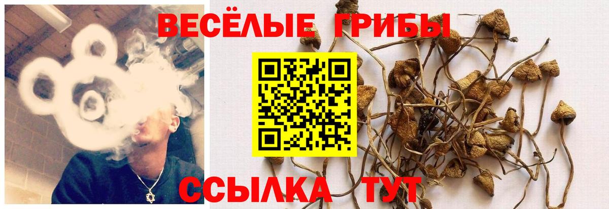 Галлюциногенные грибы Cubensis  Вход с VPN  Галлюциногенные грибы ЛСД  Пыть-Ях 